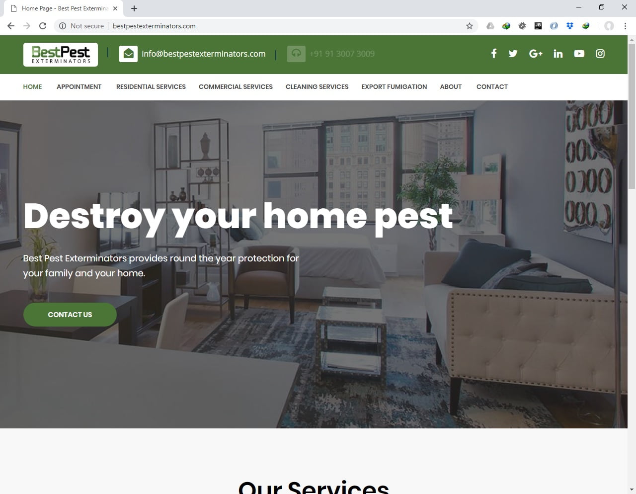 Best Pest Exterminators preview